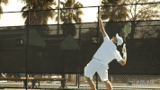 serve men's tennis GIF by GreenWave