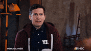 Season 8 Yes GIF by Brooklyn Nine-Nine