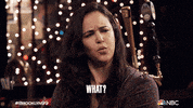Season 8 What GIF by Brooklyn Nine-Nine