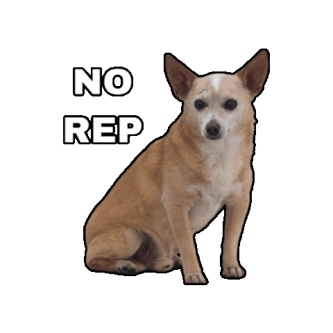 No Rep Sticker by CrossFit Muskoka