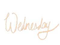 Wednesday Weekday Sticker