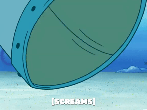 season 5 new digs GIF by SpongeBob SquarePants