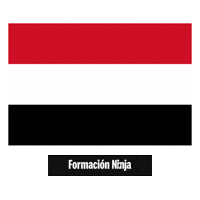 Flag Bandera Sticker by Formación Ninja