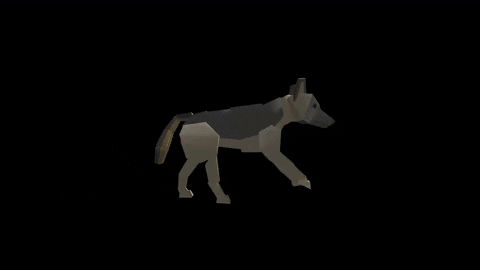 davuttemizel giphyupload GIF