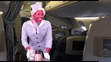 RobertEBlackmon reaction reactions whatever plane GIF