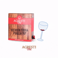 agrestivini cheers wine puglia redwine GIF