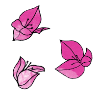 Pink Flower Sticker by ÇeşmeBazlamaKahvaltı