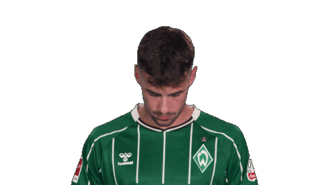 Werder Bremen Deman Sticker by Bundesliga