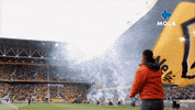 Premier League Football GIF by MolaTV