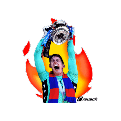 Champion Goalkeeper Sticker by Reusch