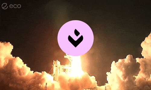 To The Moon Crypto GIF by Eco