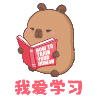 Study Capybara Sticker