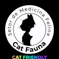 petfauna catfauna cat felino gato catfriendly GIF