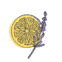 thestraitandnarrow drink flower cheers yum Sticker