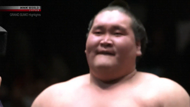 TZ85 giphyupload GIF