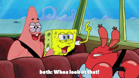 season 9 episode 24 GIF by SpongeBob SquarePants