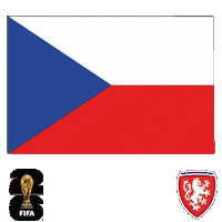 World Cup Football Sticker by Pudgy Penguins