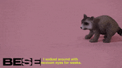 halloween ghost GIF by BESE