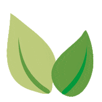 plant Sticker by Tok&Stok