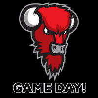 Bisons basketball korisliiga game day bisons GIF