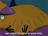 nickrewind nicksplat angry beavers GIF