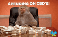 Money GIF by Imaginal Biotech