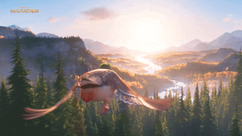 MigrationMovie giphyupload animation duck sunset GIF