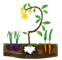 vegetables guess Sticker by Rubro del Rubro