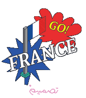 France Football Sticker by Tasmeem