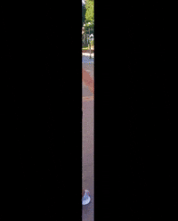Lourdes Oliveira GIF