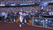 World Series Sport GIF by MLB