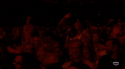 Acm Awards GIF by Academy of Country Music Awards