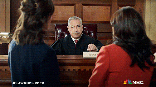 Episode 15 Nbc GIF by Law & Order