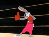 Shadowboxing Bugs Bunny GIF by Looney Tunes