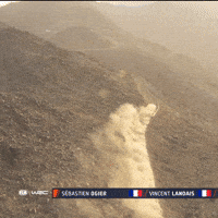 Rallying Saudi Arabia GIF by FIA World Rally Championship