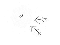 25na white flower flowers kid Sticker