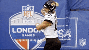 National Football League GIF by NFL