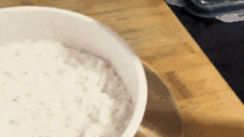 LKPM giphygifmaker GIF