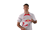 Dominik Szoboszlai Football Sticker by RB Leipzig