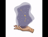 Thielmarine illustration stars drawing witch GIF