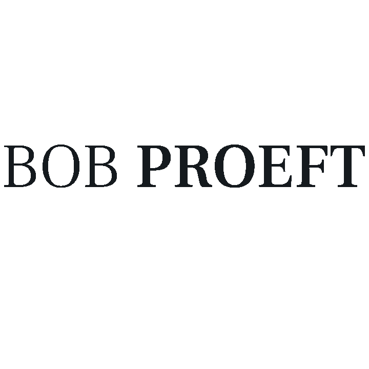 bobproeft giphyupload bobproeft bob proeft Sticker