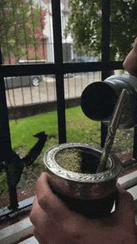 Yerba Tomamate GIF by Pampa Direct