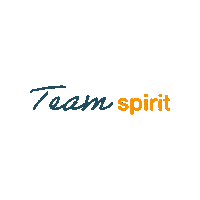 TestoIndustrialServices team teamspirit tis testo Sticker
