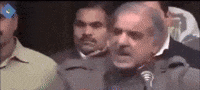 Muhammad Talha GIF