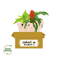 greencentraleph happy cute box plants Sticker
