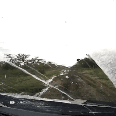 Sports Car Speed GIF by FIA World Rally Championship