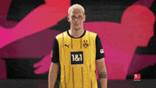 Knock Borussia Dortmund GIF by Bundesliga