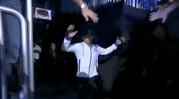 ufc sports sport ufc mma GIF