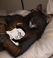 Cat Hug GIF
