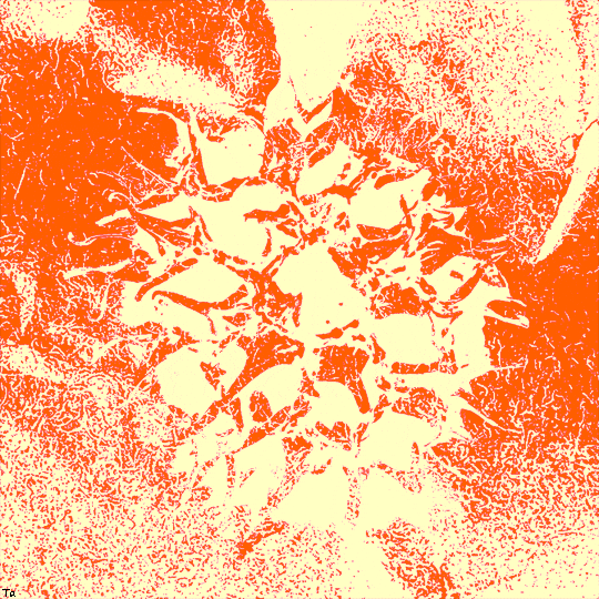Sun Noise GIF by Trevor Anderson